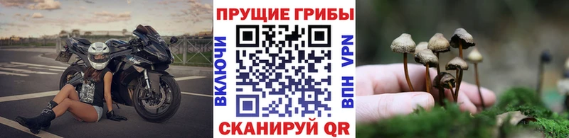 Галлюциногенные грибы мухоморы Курлово